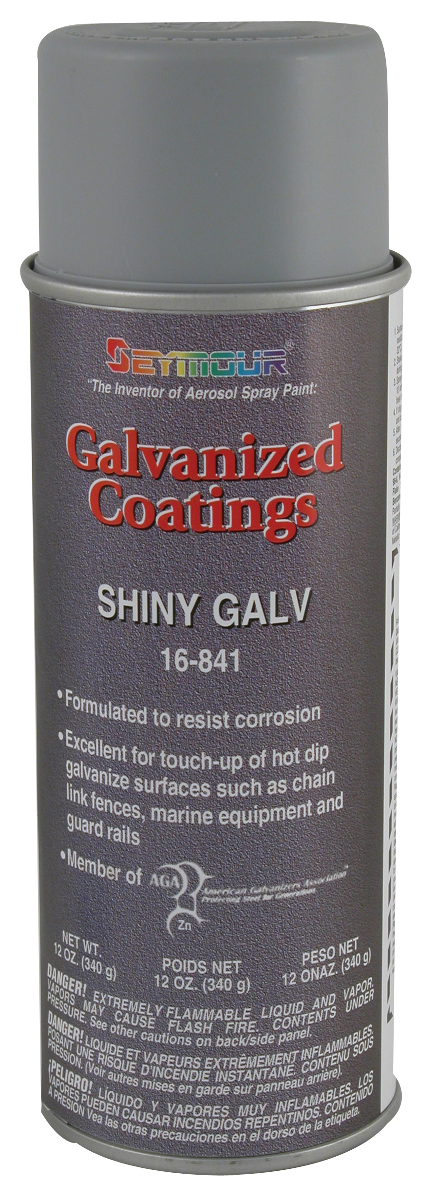 Galvanized Shiny Coating 16 ounce Can