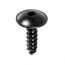 M5.5 x 20 Torx Truss Head T-20 Drive Sheet Metal Screws Black (#12 x 25/32) Black Zinc (25 pieces pe