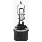 Halogen Bulb #893 (1 piece per package)