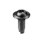 M6 x 16 Round Washer Head Thread Cutting (5/8 Long) License Plate Screws (Phillips) Black Zinc