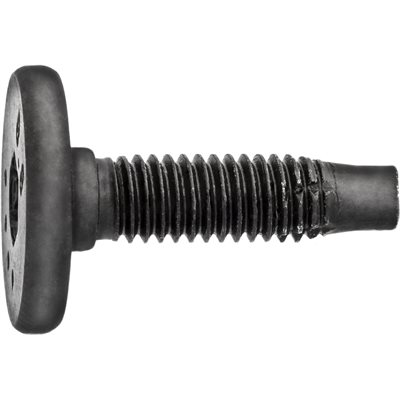 M6 x 22 Torx Pan Head Body Bolt with Dog Point Type F Thread Cutting Feature Black Zinc