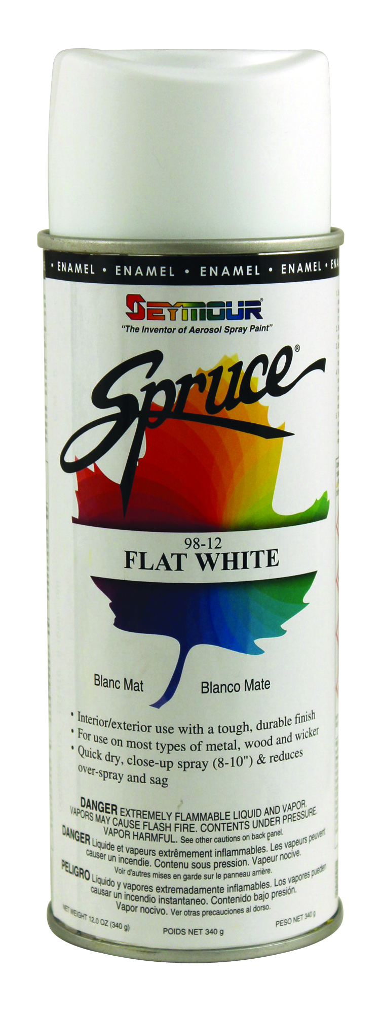 Flat White 16 ounce Can General Use Paint (Indoor & Outdoor)