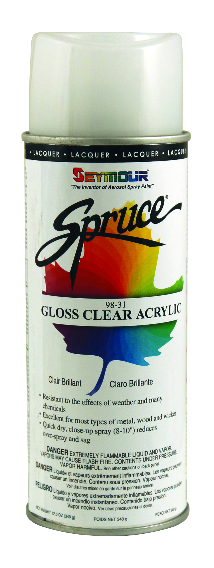 Clear Gloss Acrylic 16 ounce Can General Use Paint (Indoor & Outdoor)