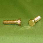 1/2-13 X 2 Hex Head Caps Screws Brass