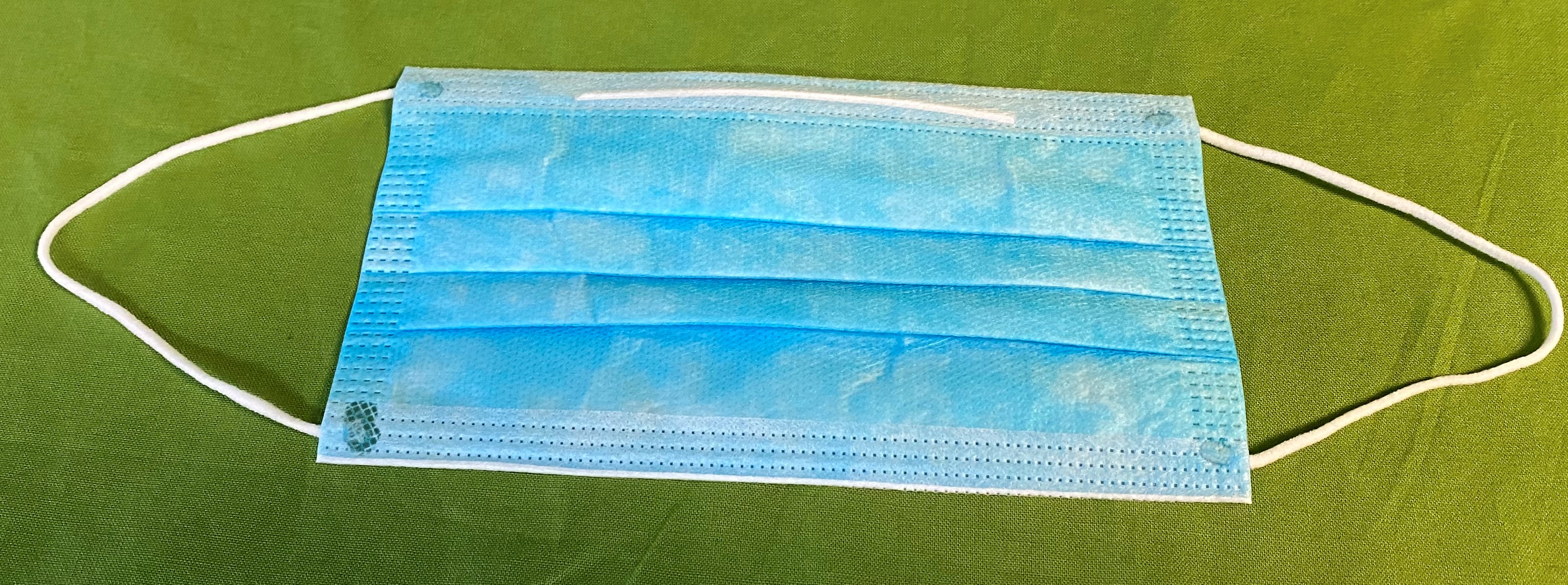Blue Disposable Surgical Non Woven Mask with Ear Loops (10pcs/bag)