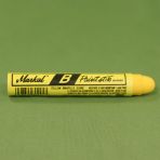 Yellow Paint Crayons